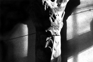 Exposition l'idée de musée 1